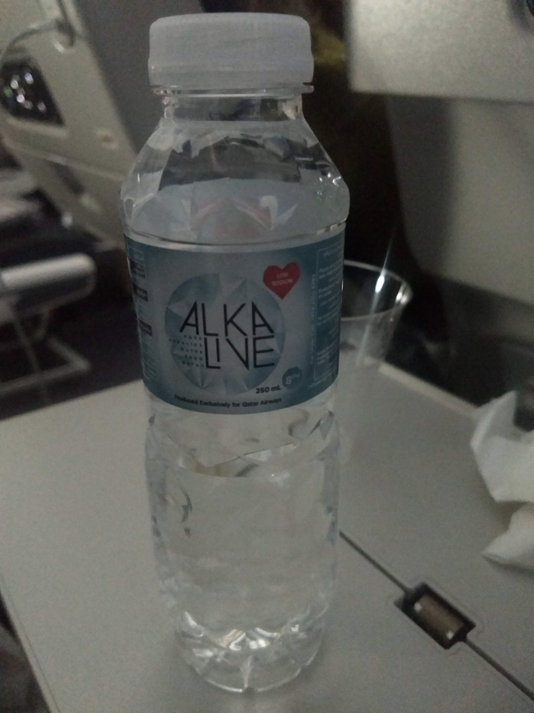 Qatar Airways All Vegetarian Meals A Comprehensive Review