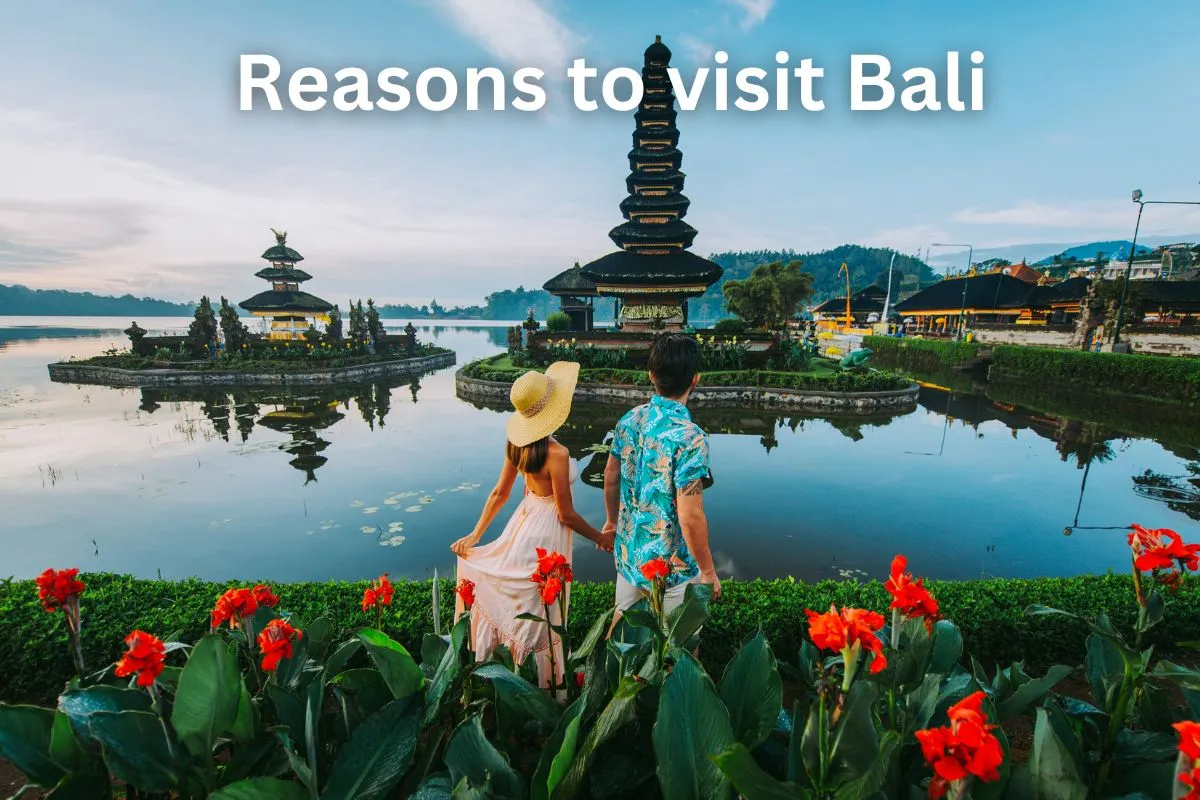 Reasons to visit Bali