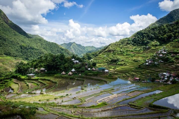 banaue rice terace