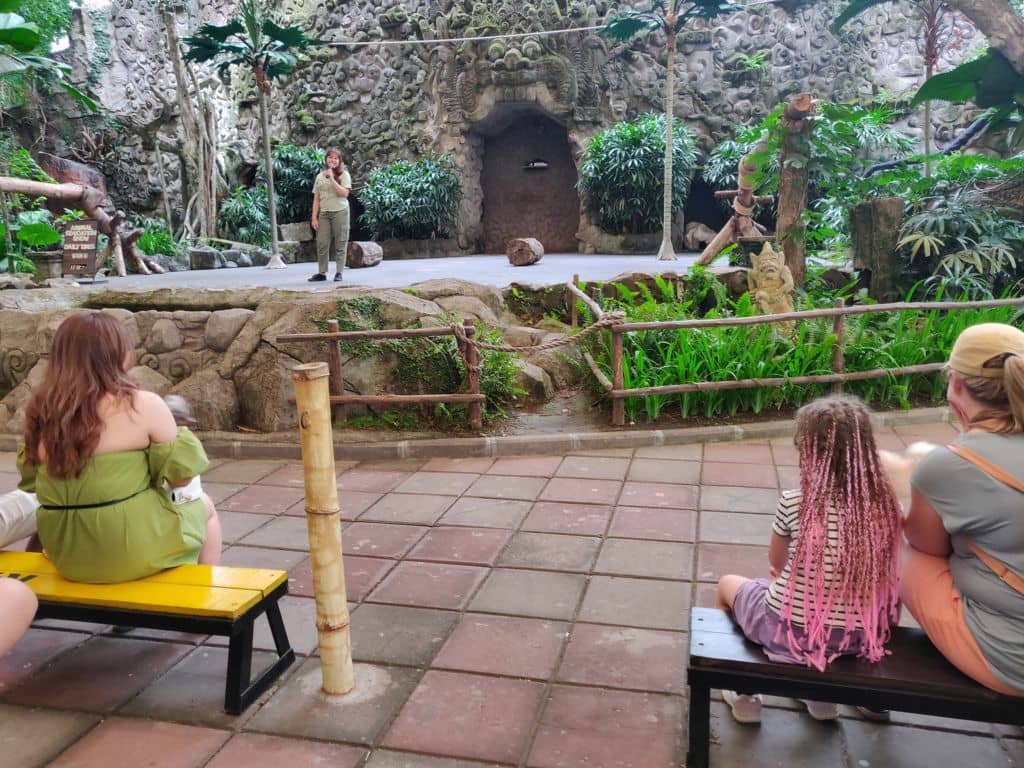 bali safari dierenhow