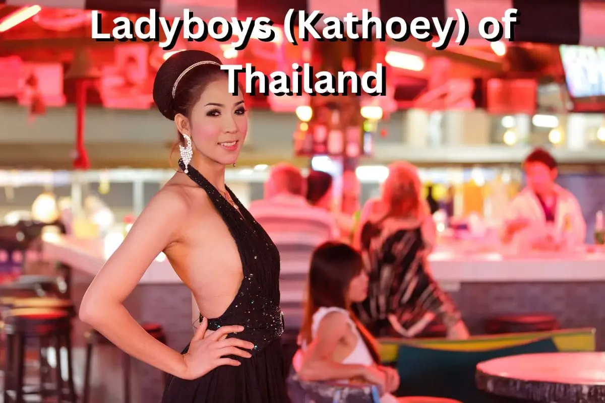 Thailand ladyboys Kathoey