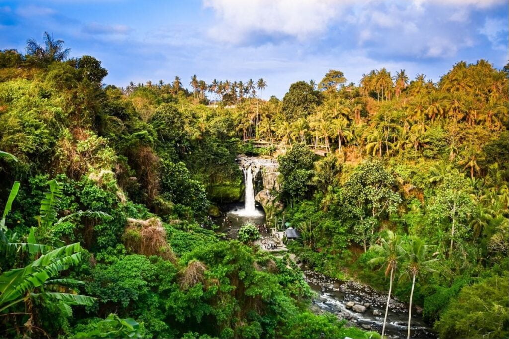 bali waterfalls