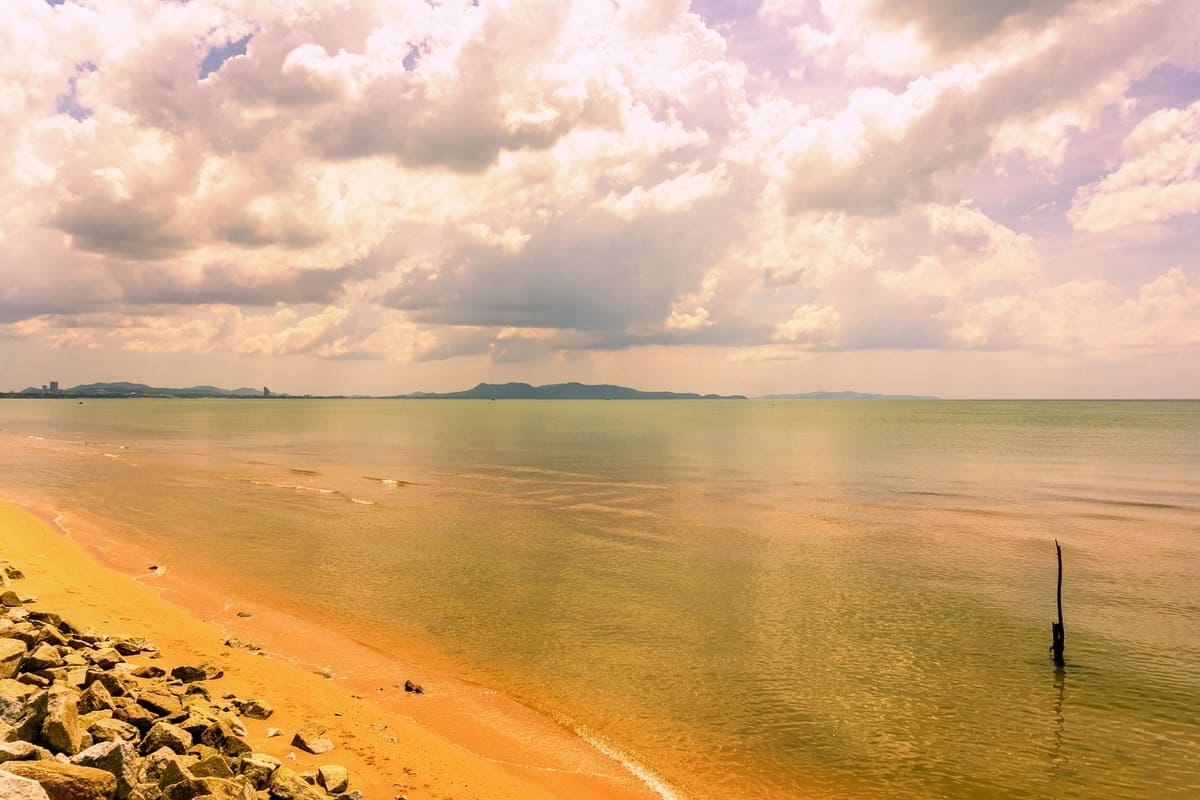 exploring-pattaya-what-to-do-see-and-experience-in-the-beach-city
