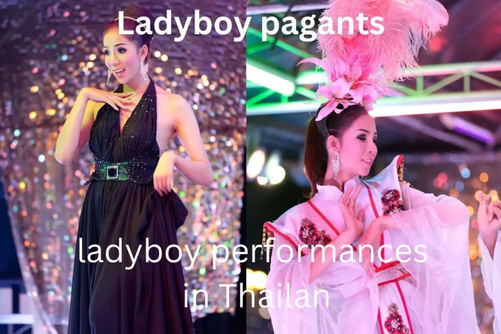 ladyboy performances