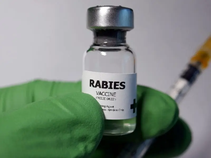 Rabies vaccine