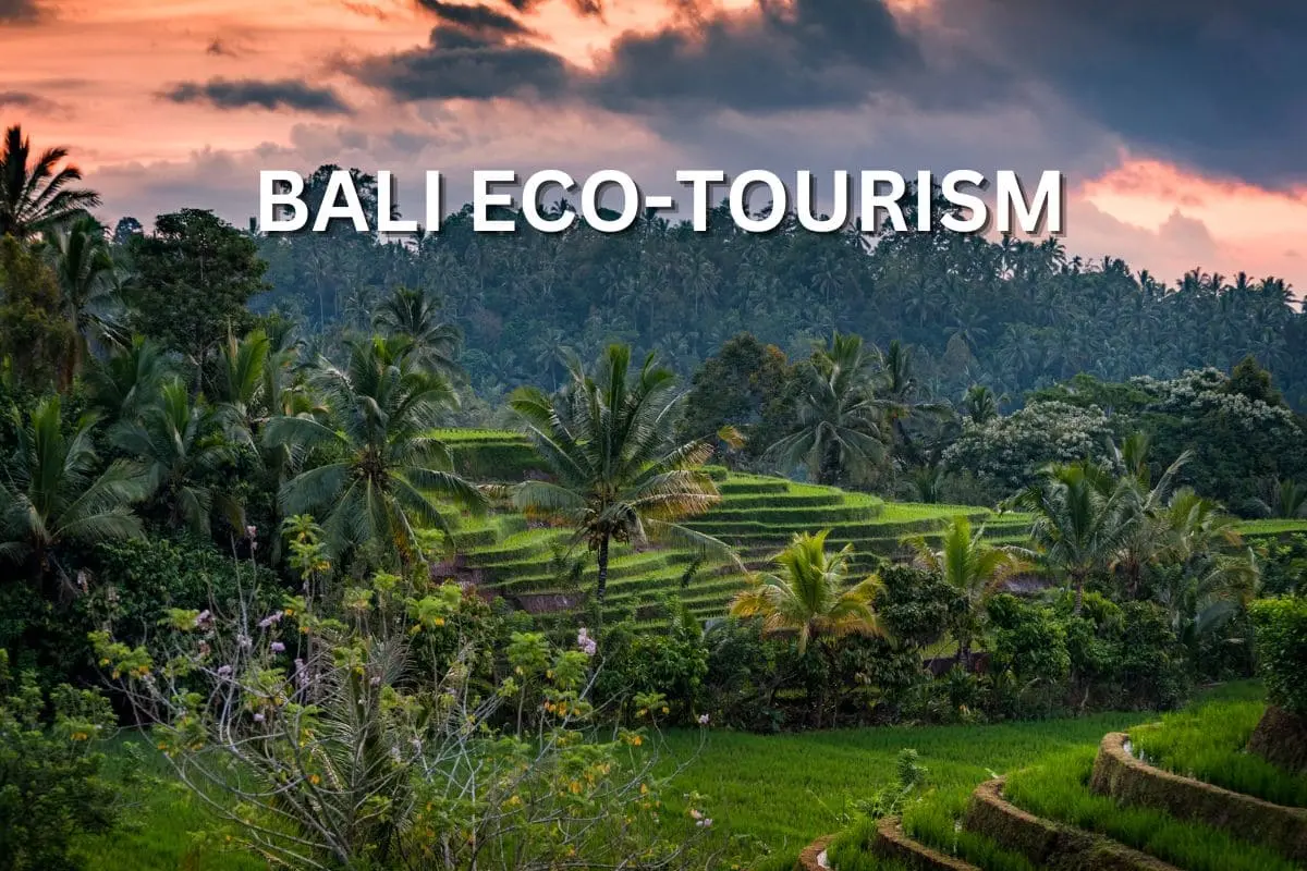 Eco tourism Bali