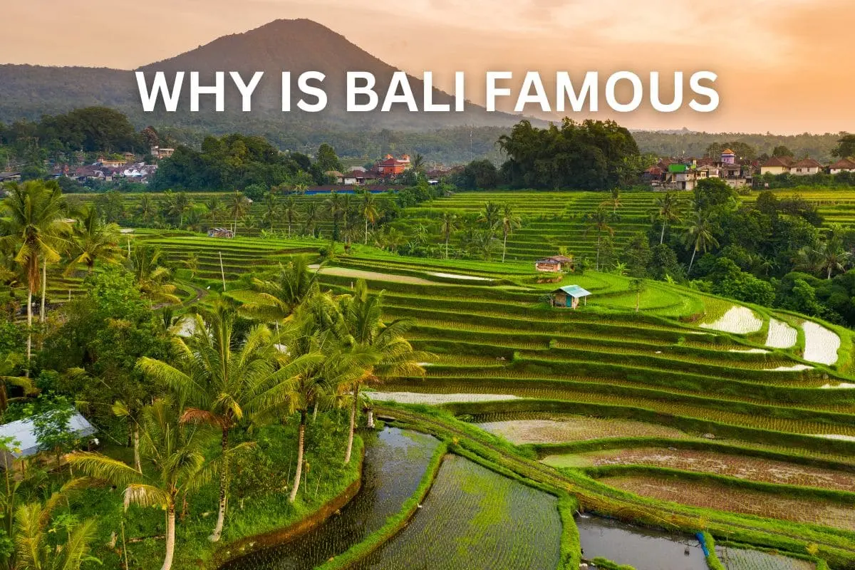why is bali famous