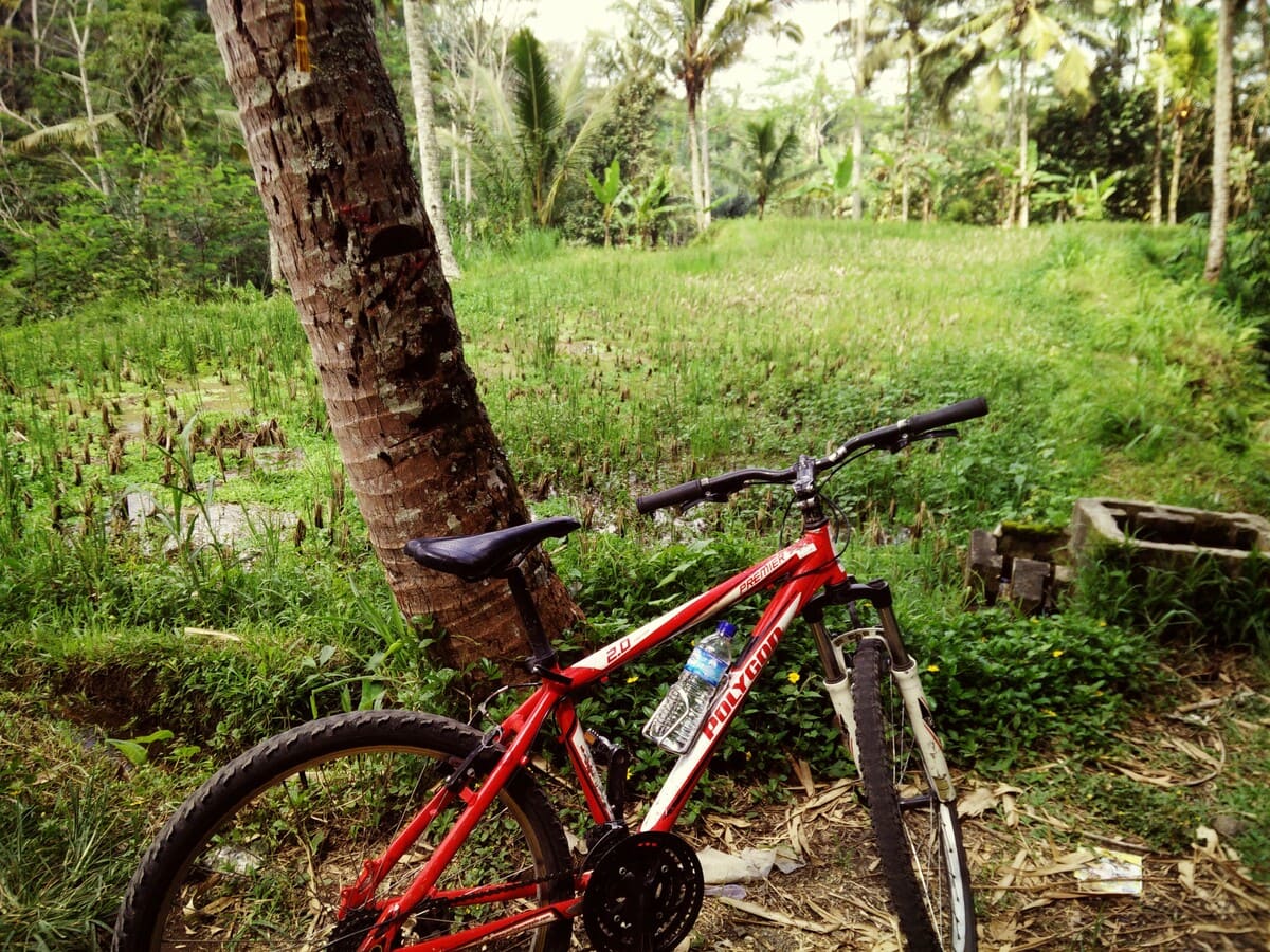 Bali Eco Cycling