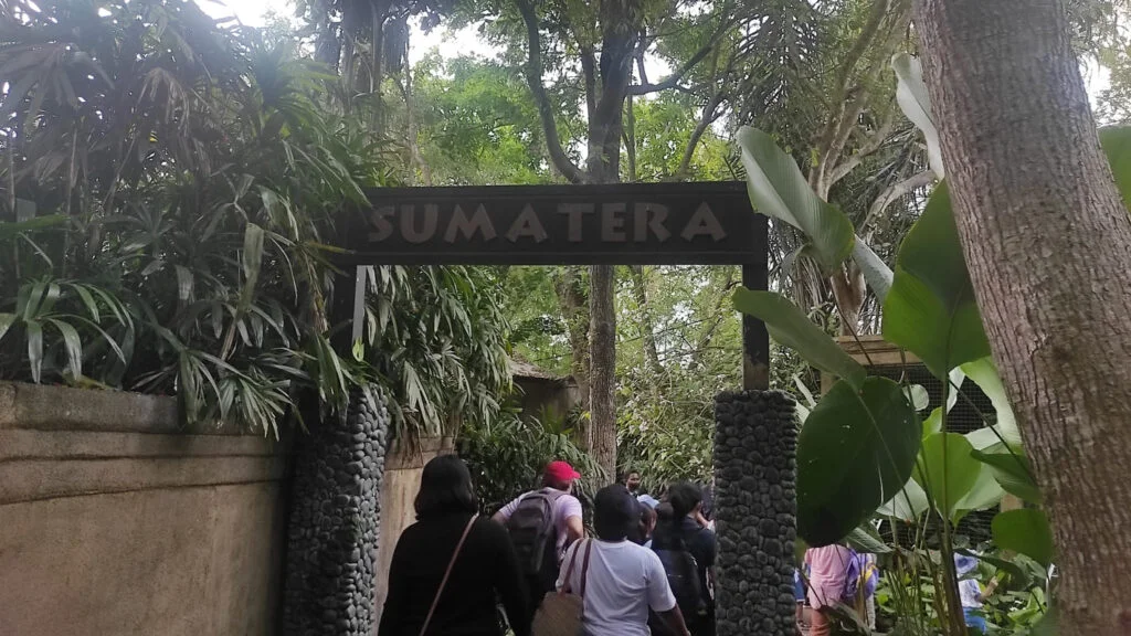 Sumatra