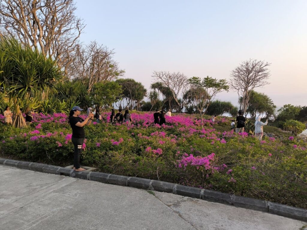 Flower field at Nusa Dua